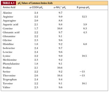 Table of pKa values for common amino acids