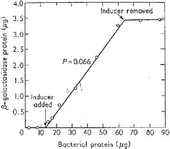 Graph showing beta-galactosidase and bacterial protein levels after inducer addition/removal
