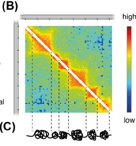 Heatmap of chromosomal spatial interactions