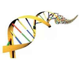 DNA double helix