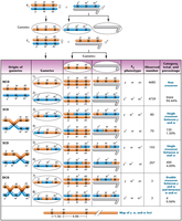 Three-point mapping cross and data table
