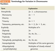Terminology for variation in chromosome numbers