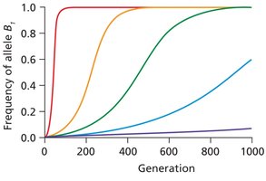 Graph showing elimination of allele under negative selection