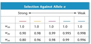 Table of selection against allele a under different strengths