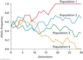 Graph showing random allele frequency changes due to drift