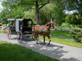 Amish community, example of founder effect