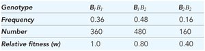Table of genotype frequencies and relative fitness