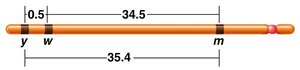 Gene distances on chromosome