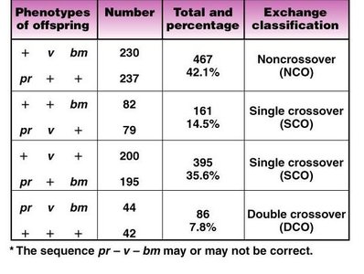Table of phenotypes, numbers, and exchange classification