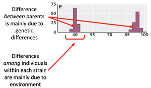 Bar graph showing genetic and environmental contributions to trait variation in parental strains.