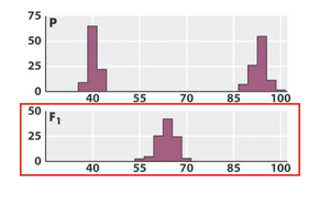 Bar graphs showing trait distributions in P and F1 generations, highlighting environmental variation in F1.