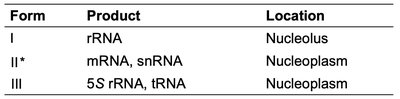 Table of RNA polymerase types, products, and locations