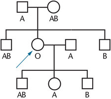 Pedigree showing inheritance of the Bombay phenotype