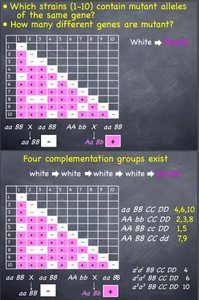 Complementation matrix and groups