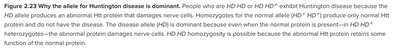 Why Huntington disease allele is dominant