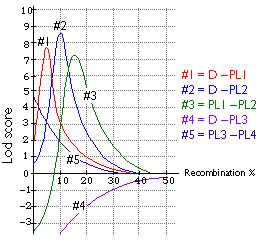 LOD score graph for linkage analysis