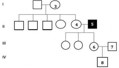Pedigree chart for lactose intolerance
