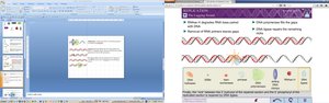 DNA ligase seals nicks between fragments