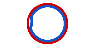 Circular chromosome with replication bubble