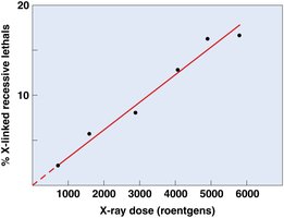 Graph showing relationship between X-ray dose and mutation rate