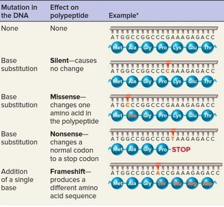 Table of mutation types and their effects on polypeptides