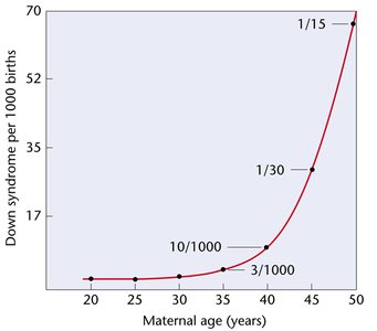 Graph showing increased Down syndrome risk with maternal age