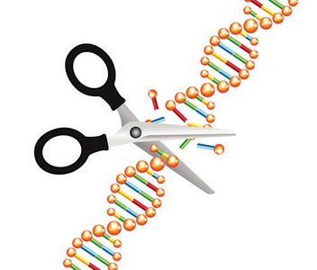 DNA ligase illustration