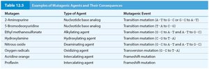 Table of mutagenic agents and their consequences