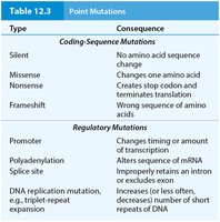 Table summarizing types and consequences of point mutations