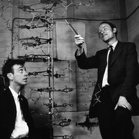 Watson and Crick with DNA model