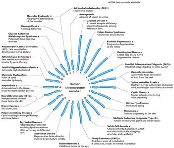 Human chromosome map of genetic disorders
