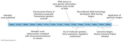 Timeline of genetics discoveries