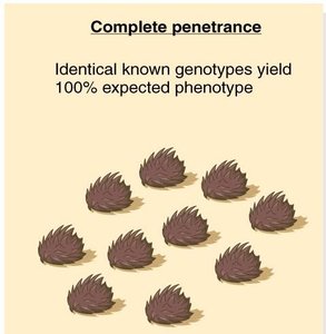 Complete penetrance illustration