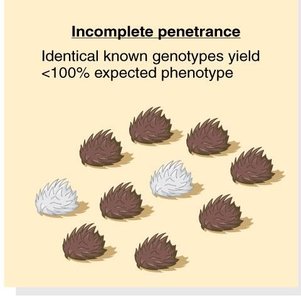 Incomplete penetrance illustration