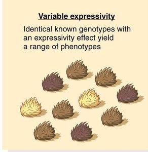 Variable expressivity illustration
