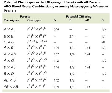 Table of potential ABO blood group phenotypes from parental genotypes
