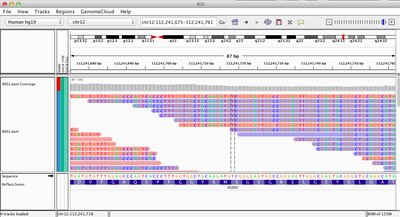 NGS short reads alignment in Integrative Genomics Viewer (IGV)