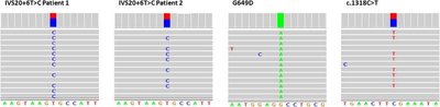 Detection of single gene disorders from SNPs