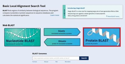 BLAST tool interface for nucleotide and protein sequence comparison