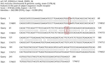 BLAST alignment output showing sequence similarity between query and subject