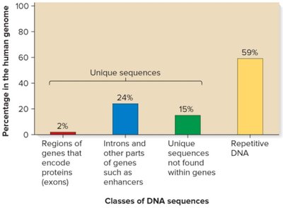 Bar graph showing the percentage of unique and repetitive DNA in the human genome