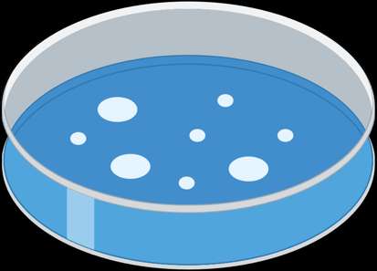 Genome assembly from fragments to contigs