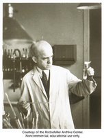 Avery, MacLeod, and McCarty experiment diagram