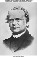 Portrait of Mendel