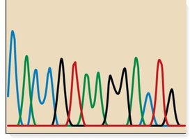 DNA sequencing chromatogram output