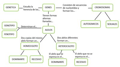 Mapa conceptual de genética mendeliana