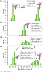 Gene-environment interactions affecting phenotype