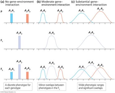 Threshold traits and genetic liability