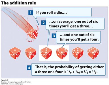 Illustration of the addition rule using dice