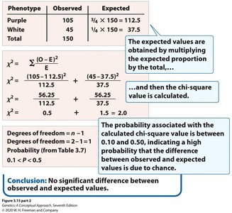 Chi-square calculation and interpretation